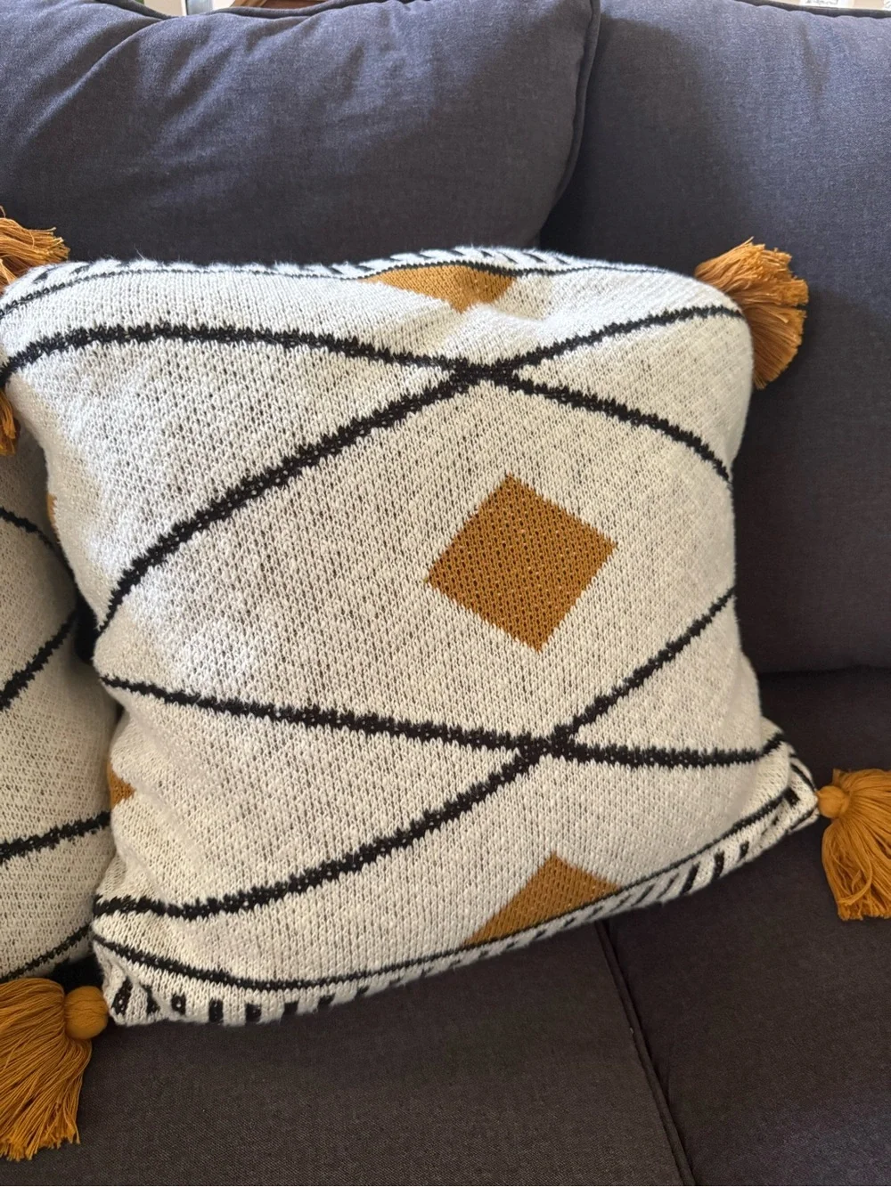 Decorative Diamond Tassel Throw Pillow Pair